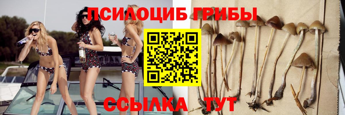 Псилоцибиновые грибы мухоморы  Псилоцибиновые грибы Cubensis  Александров  Вход с VPN 